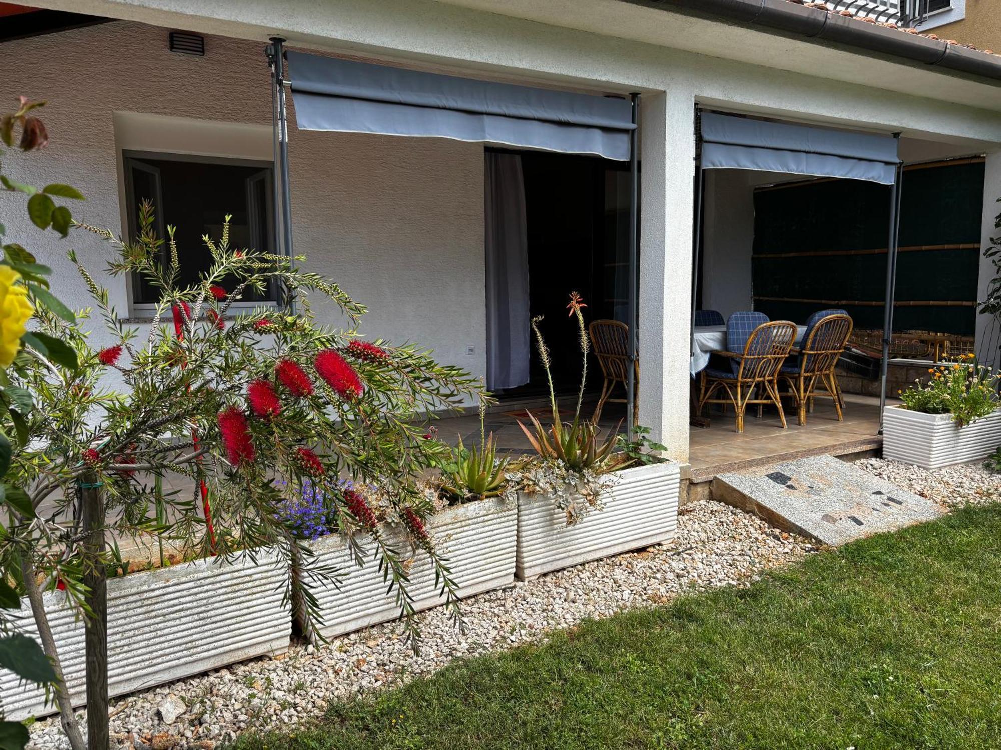 Rozi Apartment Umag